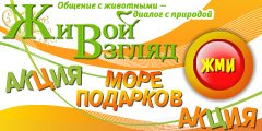����� �������� ������� ����� ������