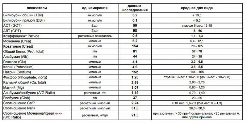 Норма Билирубина Алт И Аст В Крови У Женщин После 50 Лет Из Вены