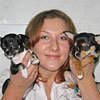 Аутогемотерапия собак и кошек