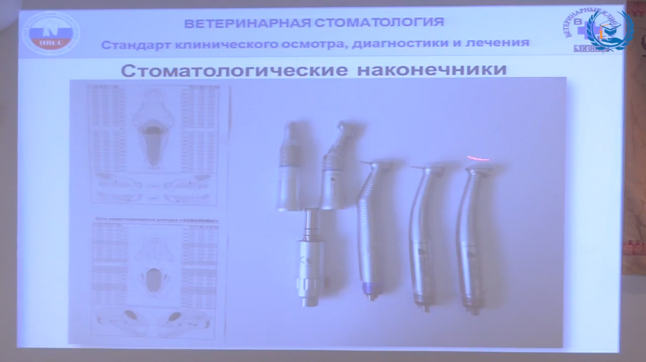 Стоматология в ветеринарии презентация