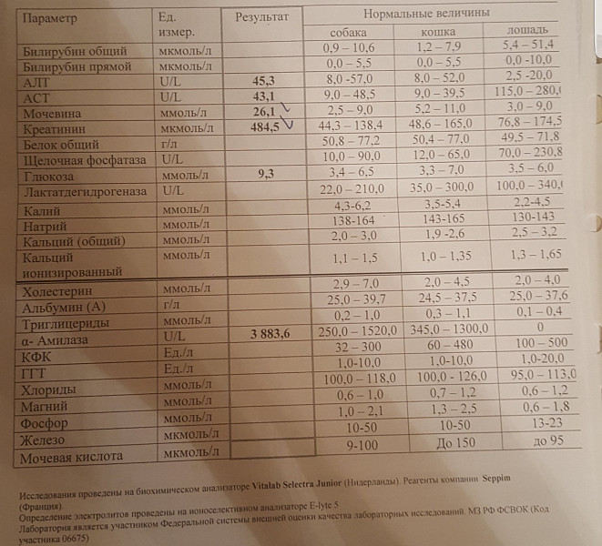 Фосфатаза повышена у кошки. Мкмоль. Мкмоль в моль. Креатинин у кота 327 мкмоль/л. Шкала Асса при ХПН кошек.