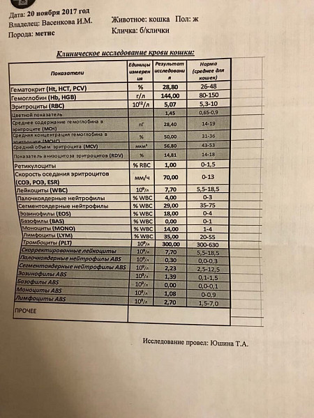 Сдача анализов до скольки. Анализ до крови. До скольки принимают анализ крови. До скольки сдают анализы. Общий анализ крови ринотрахеит КРС.