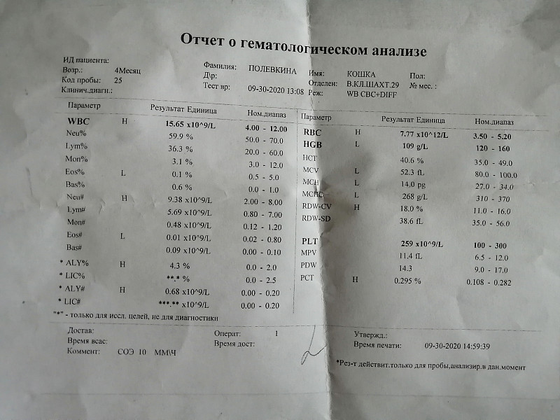 Несформированный стул форум