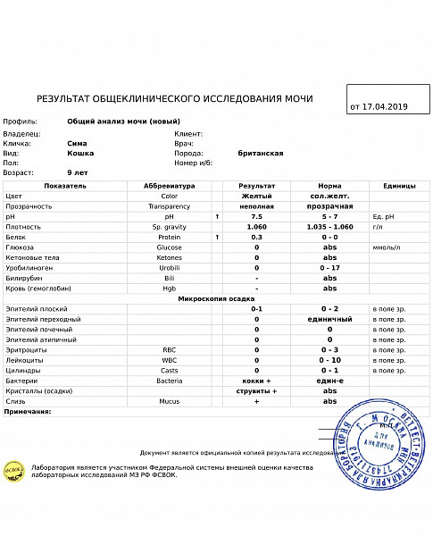 Здесь анализ. Результаты анализов мочи у кошки. Результат общеклинического исследования мочи у собаки. Кровь в моче у кота стерилизованного причины.