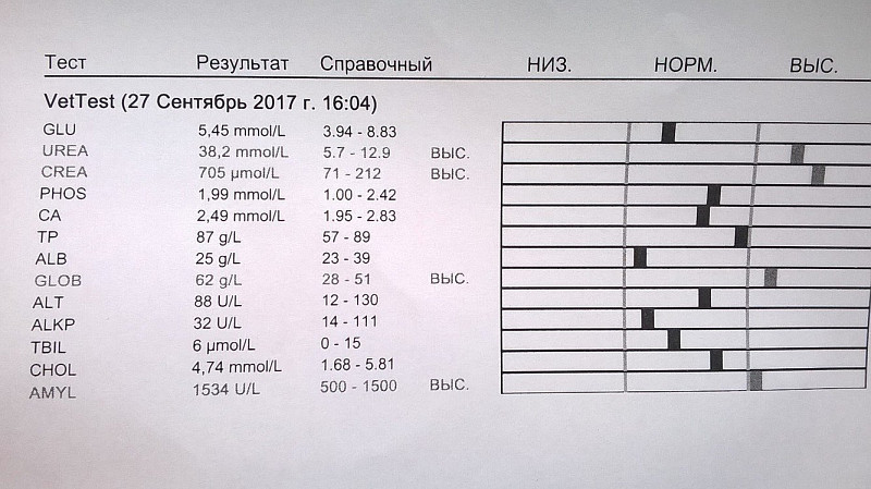 Толщина стенки лоханки в норме у детей