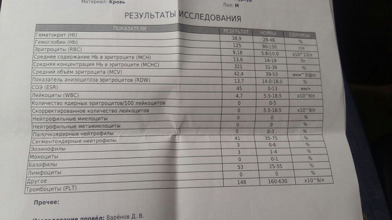 Кальцивироз у кошек схема