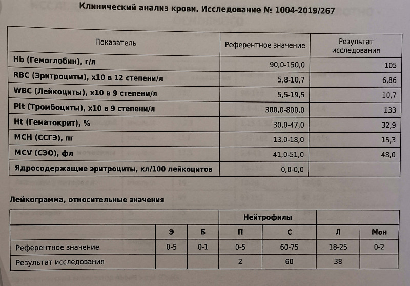 Какие нужно сдать анализы для проверки почек. Анализы почек. Норма анализа почек. Анализы почек по крови. Анализ почек по крови норма.