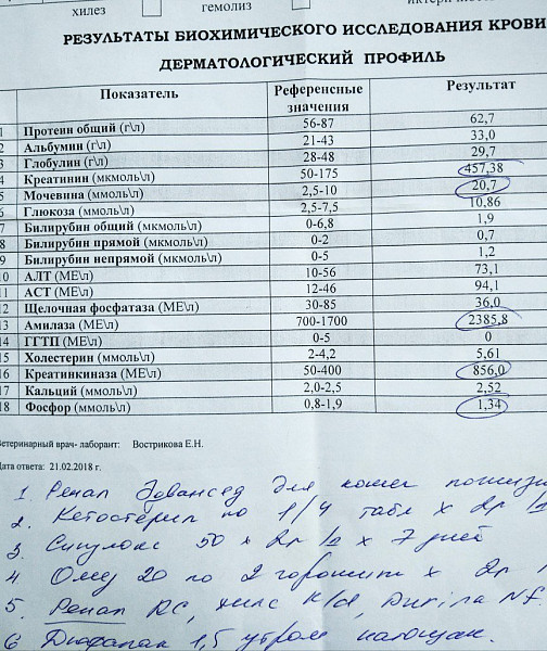 Иктеричность образца крови