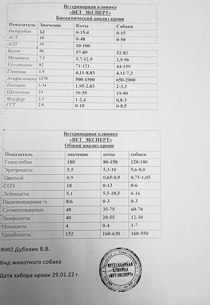 Коэффициент ритиса у собак понижен что это