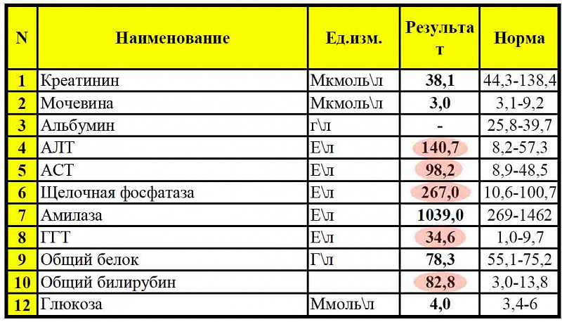 Высокое алт у собаки