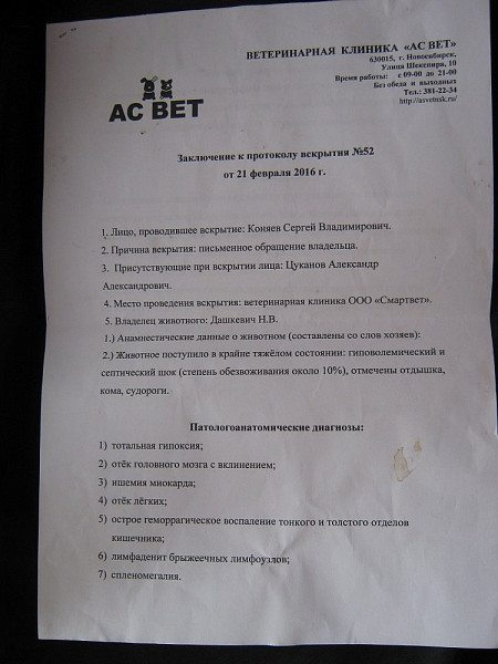 Протокол патологоанатомического вскрытия человека образец