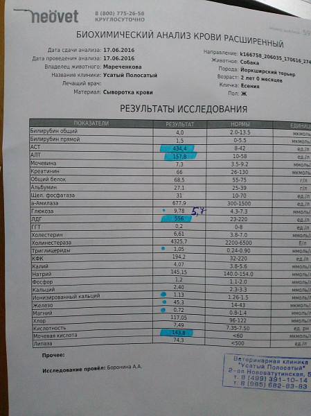 Какие нужно сдать анализы для проверки почек. Почечные показатели в биохимическом анализе крови. Биохимия крови почечные показатели крови. Биохимия крови почки. Показатели почек в биохимии крови.