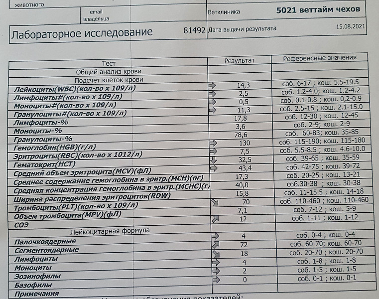 Биохимический анализ общетерапевтический стандарт