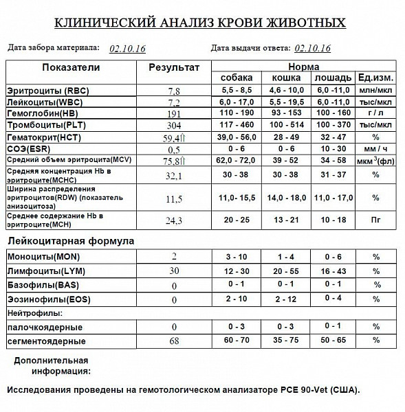 Почечная недостаточность какие анализы. Анализ крови при почечной недостаточности. Анализы крови при ХПН У собак. Анализы крови при ХПН У кошки. Анализ крови у кошки при почечной недостаточности.