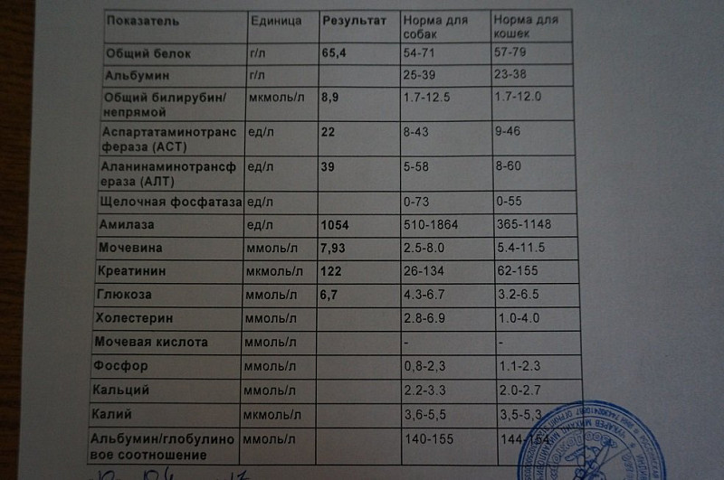 Амилаза ед л. Анализ биохимия крови норма амилаза. Биохимия крови амилаза норма. Амилаза и щелочная фосфатаза норма. Анализ мочи на амилазу норма.