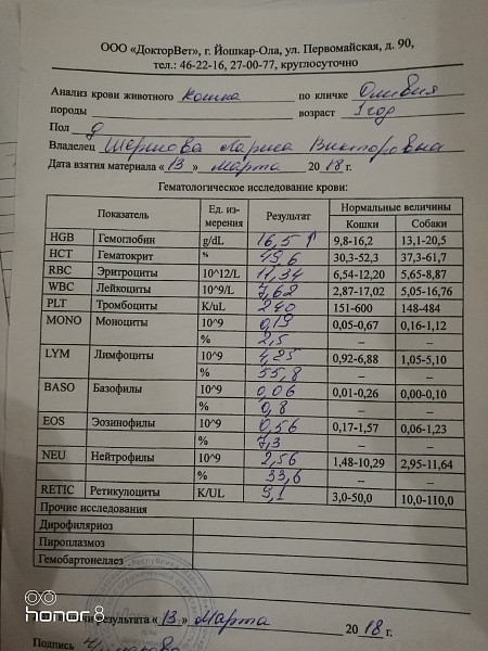 Анализ на бешенство у человека. Анализ крови животного. Опись животных. Опись на кровь КРС.