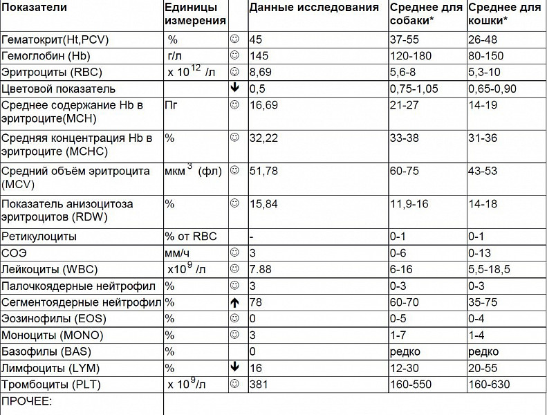 Показатели собак. Клинический анализ крови единицы измерения. Эритроциты единицы измерения. Ретикулоциты в анализе крови. Лейкоз у кошек показатели крови.