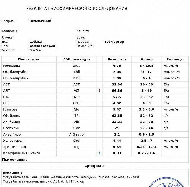  Foto 43