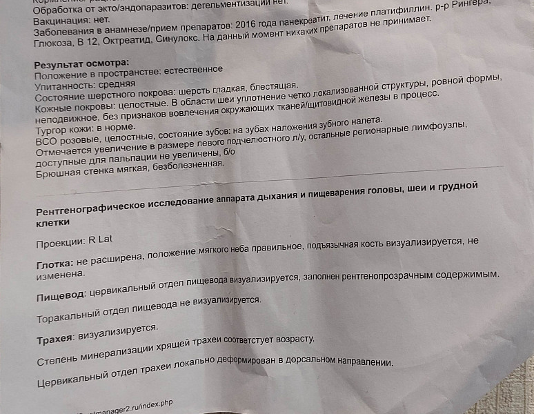 Уколы платифиллин от чего помогают инструкция. Платифиллин внутривенно. Платифиллин уколы инструкция. Платифиллин таблетки.