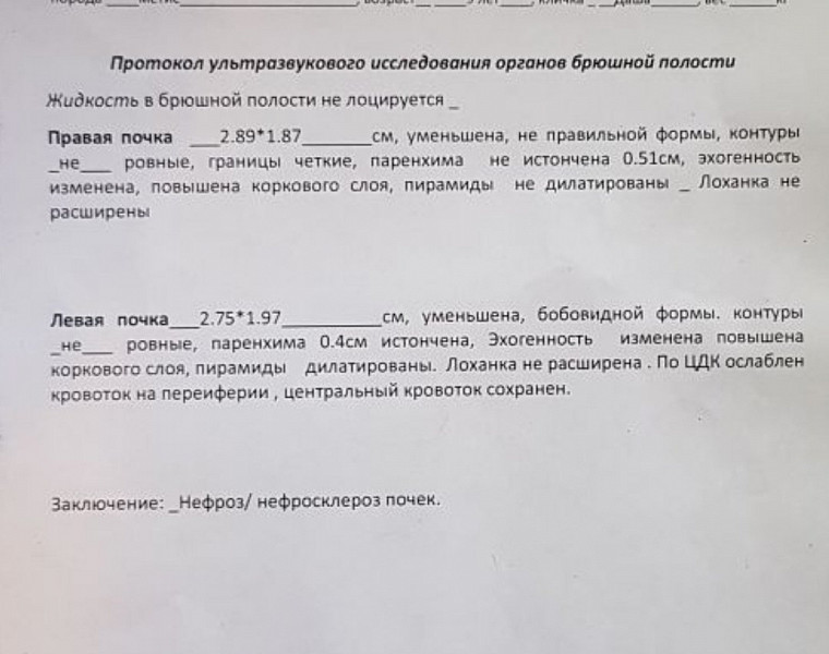 Протокол узи органов брюшной полости образец