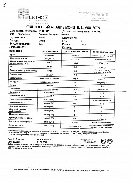 Последние анализы