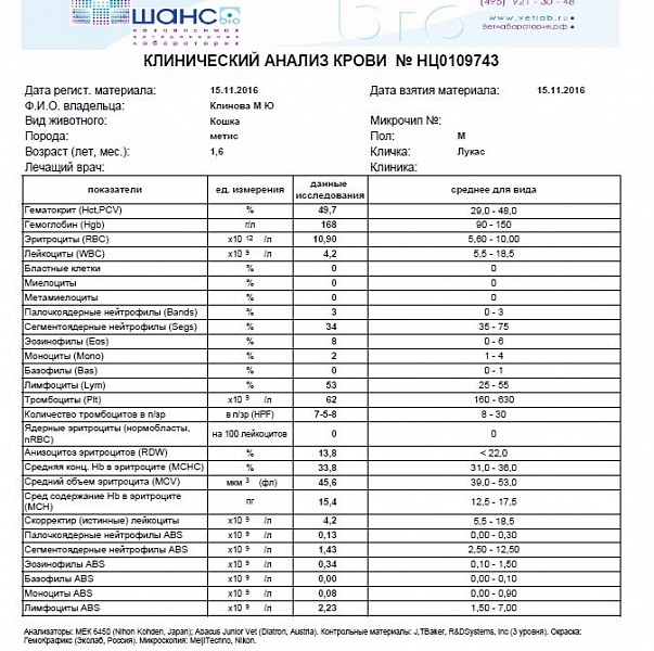 Анализы коту. Анализ крови на воспаления у котов. Результаты анализов кота. Нужен ли коту анализ крови перед кастрацией.