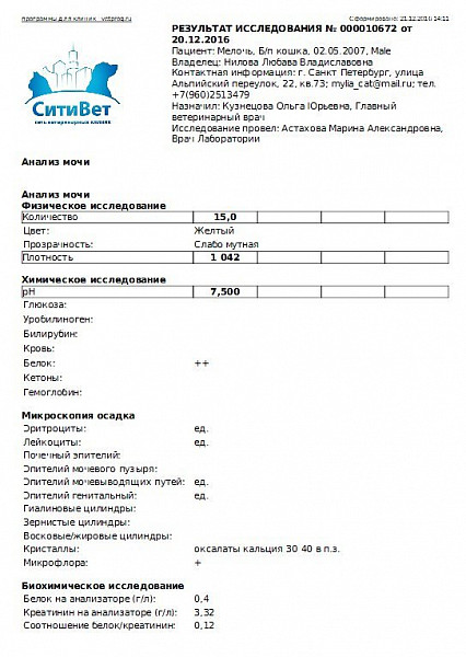 Анализ мочи на оксалаты. Анализ мочи соли оксалаты норма. Сдать мочу на кальций. Канефрон при оксалатах в моче у кота. Лекарство от оксалатов в моче.