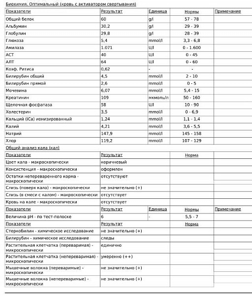 Анализ общий белок