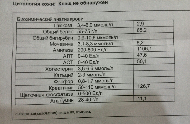 Что такое амилаза в биохимическом анализе. Биохимический анализ крови амилаза норма. Анализы крови биохимия норма Альфа амилаза. Биохимический анализ крови амилаза норма у женщин. Амилаза в крови норма у женщин.