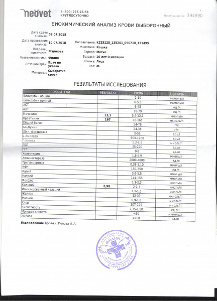 Хеликс биохимический анализ. Анализы ветклиника. Хроническая почечная недостаточность у кота анализ крови биохимия. Диалаб анализ крови. Сколько делают анализы в ветклинике.