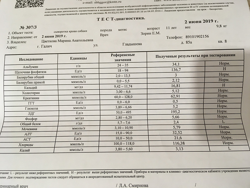 Высокое алт у собаки. Анализ крови собаки. Исследование крови у собак. Исследование крови у собаки в норме. Норма крови у собак.