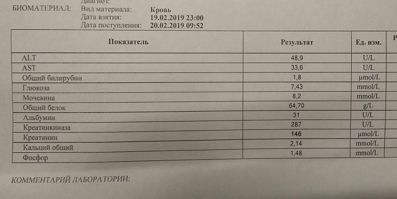 Анализ б12 инвитро