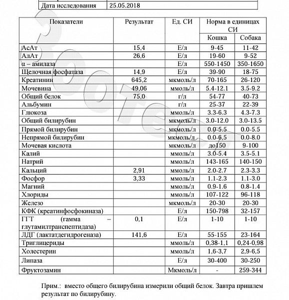 Анализ кфк что это такое. Нормы КФК В крови у взрослых. Показатель крови КФК норма. КФК МВ анализ крови норма. ЛДГ КФК норма.