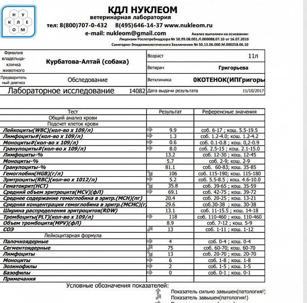 Анализы здоровье прайс