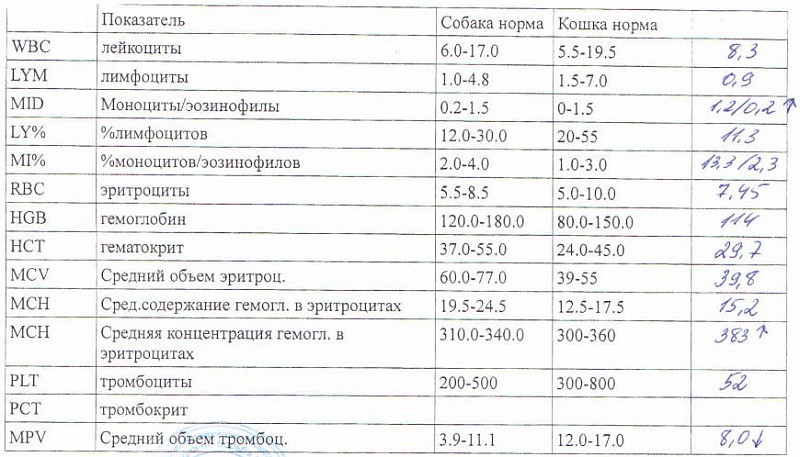 Показатели собак. Показатели лейкоцитов у кошек норма. Норма лимфоцитов у собак. Лейкоциты у кошек норма. Лейкоциты у собаки норма.