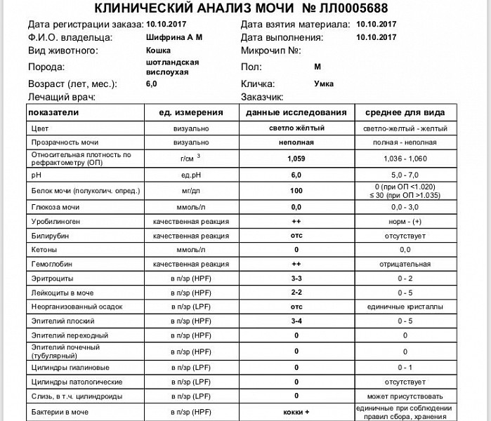 Если в анализ мочи попал волос