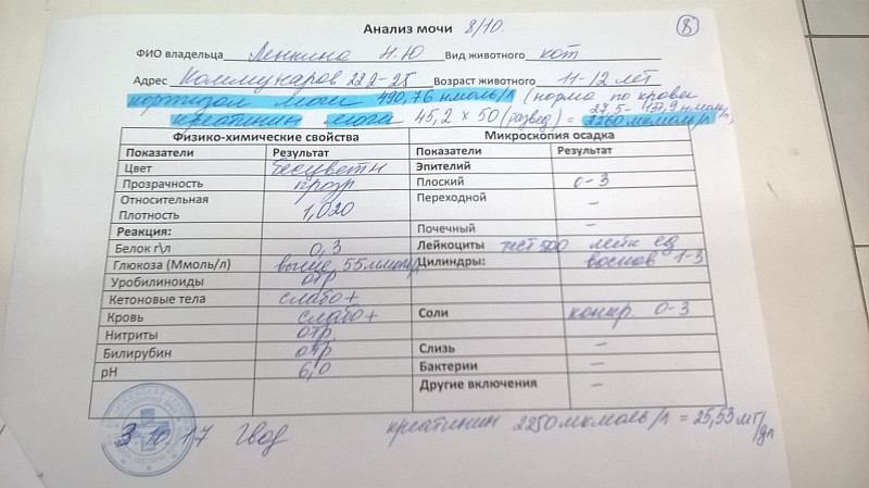 Анализ не 4. Уробилиноиды норма. Общий анализ мочи с микроскопией осадка. Норма анализов мочи уробилиноиды. Уробилиноиды в моче.