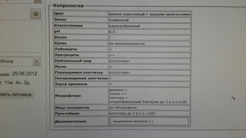 Копрология. Цвет копрология. Анализ на копрология простейшие. Клиническая копрология.