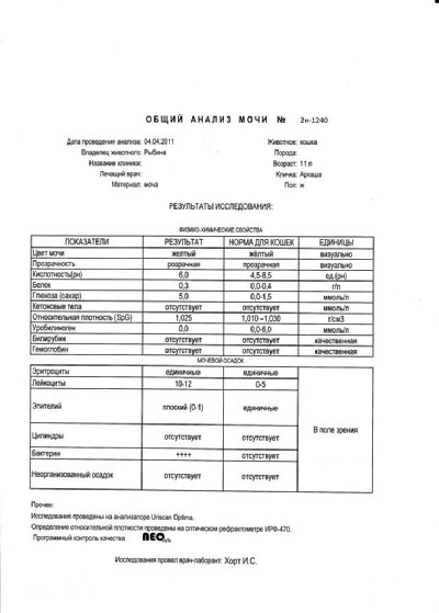 Лорак анализы. Общий анализ мочи у кошек. ОАМ кота показатели.