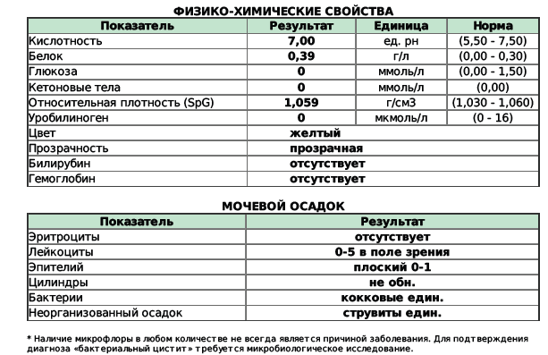 Почему от вашей кошки пахнет ацетоном? Причины и возможные решения