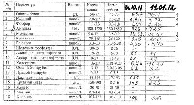 Биохимический калий. Как обозначается кальций в анализе крови биохимическом анализе крови. Биохимия крови расшифровка кальций. Биохимия крови общий кальций норма. Биохимический анализ крови кальций норма.