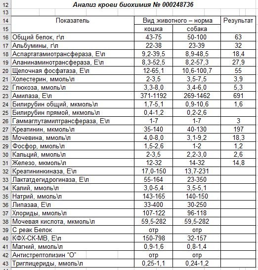 Проанализировать результаты. Общий белок в биохимическом анализе крови. Общий белок анализ. Журнал учета биохимических анализов. Белковый анализ крови.