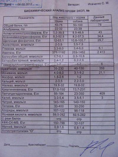 Правда анализ. БХ анализ. ОПН БХ анализ крови. Полный анализ б/х. Б/Х анализ крови при почечной недостаточности.