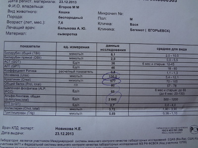 Мкмоль л. Ммоль/л в мкмоль/л. Креатинин в моче мкмоль/л мкмоль. Перевести ммоль/л в мкмоль/л креатинин. Креатинин в моче норма мкмоль.