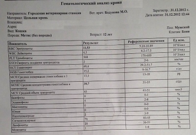 Анализы терапия. Гематологическое исследование крови. Гематологический анализ крови норма. Гематология это клинический анализ крови. Полный гематологический анализ крови что это.