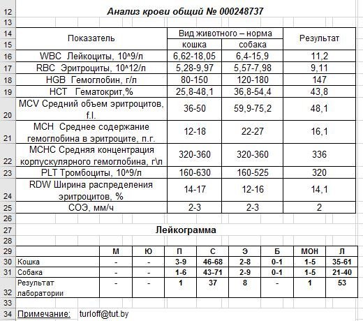 Анализ кота дом