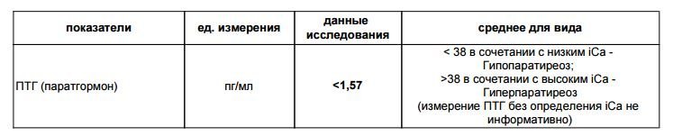 Паратгормон повышен