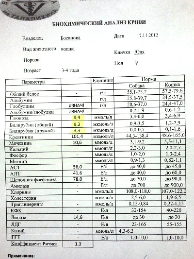 Бланк на биохимический анализ крови образец