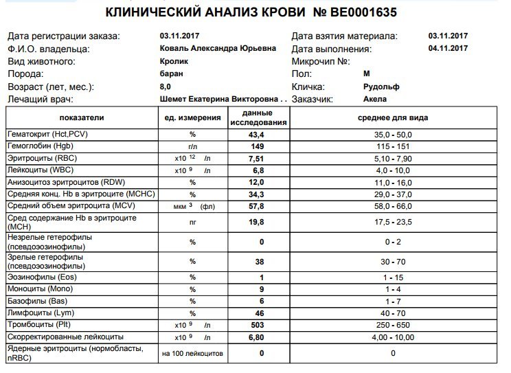 Расширенные исследования. Анализ крови на почки. Анализ мочи для почек. Анализ мочи при острой почечной недостаточности. Биохимия крови при почечной недостаточности.