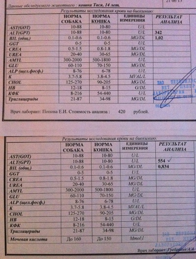 Нова анализы. Иммунограмма для кошек. Иммунограммы спортсменов. Иммунограмма 500. Иммунограмма 200.